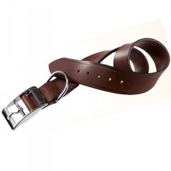 Leather Dog Collar including Engraved Indigo Collar Tag