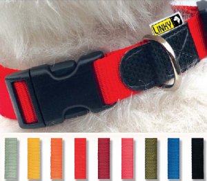 Nylon Dog Collar with Snap type buckle.