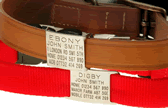 Picture of Leather Collar and CollarTag and Nylon Collar and CollarTag